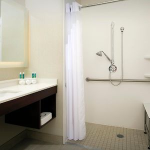 King Room Hearing Accessible Roll Shower